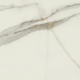 Mythique Marble Calacatta Venecia Square 12X12 Matte - xzej2wlcmbxhtqjy2sgm@2x.jpg