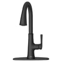 Renate 1.5 GPM Single Hole Pull Down Kitchen Faucet - Includes Escutcheon - xzuio09i5hfnwiprplhe@2x.jpg