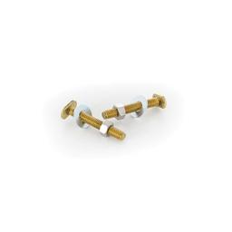 Closet Bolt Set, 5/16 x 2-1/4 in L Thread, Brass - y3iq2pltsspqvlrzptv7@2x.jpg