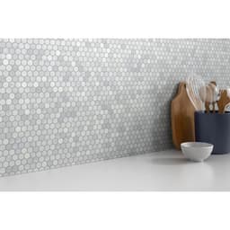 BIANCO GIOIA HN 1" HEX MO1212 - y8ceumnve3ufwkoaeiwx@2x.jpg