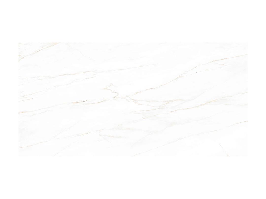 Calacatta Corrinna - y95mb855widsiwhdcwal@2x.jpg