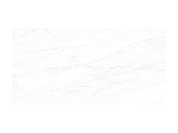 Calacatta Corrinna - y95mb855widsiwhdcwal@2x.jpg