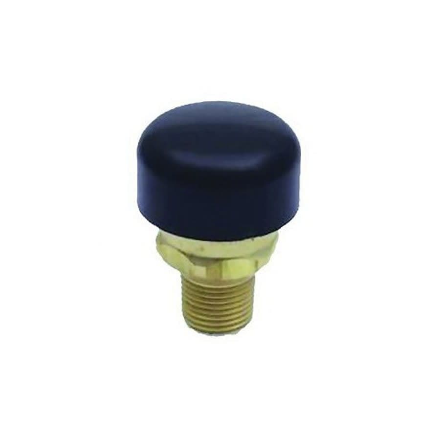 Drilled Vent Vacuum Relief Valve With Dust Cover, 1/2 in, NPT, 200 psi, Brass Body - yb38wuur9tyzw5ljcdar@2x.jpg