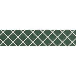 VECTORA GREEN GL 2X11 - ydpeswyxzkhyfqywjrmf@2x.jpg