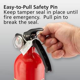 Basic Use Fire Extinguisher with Easy Mount Bracket & Strap, 1-A:10-B:C, Dry Chemical, One-Time Use, 2-Pack - yeu2s0qzpyh7u1um5k4n@2x.jpg