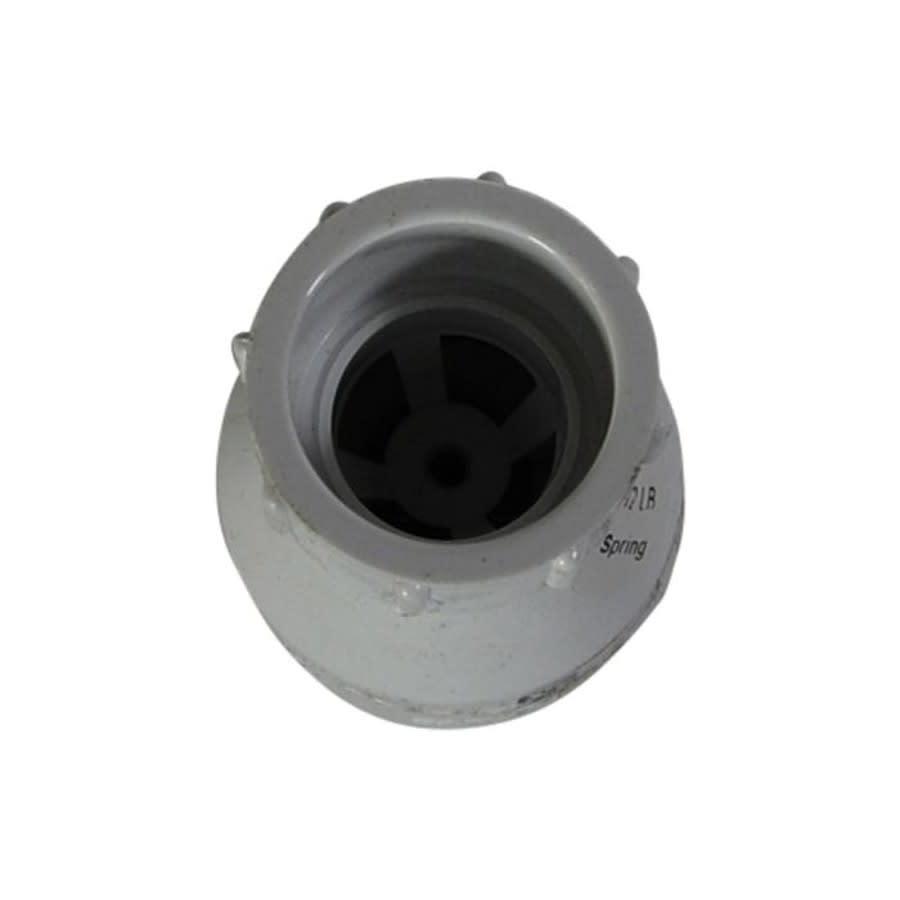 Spring Check Valve, 3/4 in, Socket, PVC - yfd21u5kbiiq0ko45bcd@2x.jpg