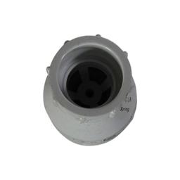 Spring Check Valve, 3/4 in, Socket, PVC - yfd21u5kbiiq0ko45bcd@2x.jpg