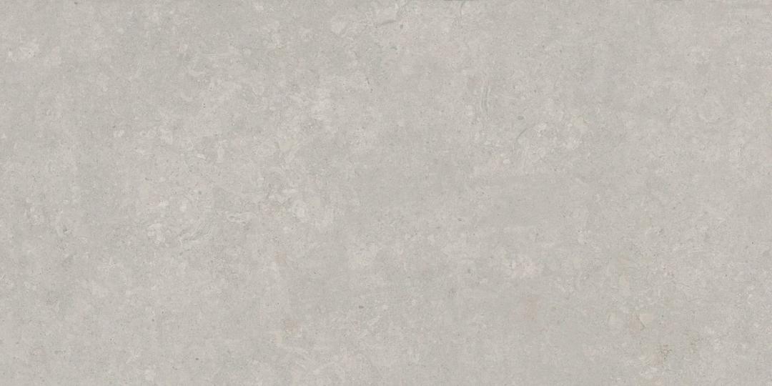 FIORITO GRAY 12X24 - ygq1v71te17x1jg8agr4@2x.jpg