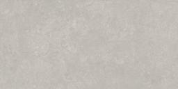 FIORITO GRAY 12X24 - ygq1v71te17x1jg8agr4@2x.jpg