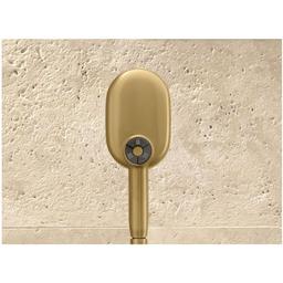 Statement 1.75 GPM Multi Function Hand Shower with MasterClean Sprayface and Katalyst Air Induction Technology - ygtbcwqwcj4ffvdkohyv_x500.jpg