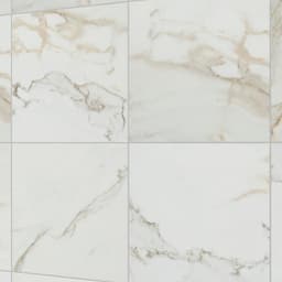 Platinum Magnolia Square 24X24 Matte - ygua0wufhjdwxi24ughg@2x.jpg