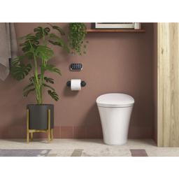 Tone Wall Mounted Pivoting Toilet Paper Holder - yjtuaolo12xpmv2zsdm4@2x.jpg