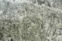 Namib Gold Pre Fab - ylfxoajp19vlgg1r83ho@2x.jpg