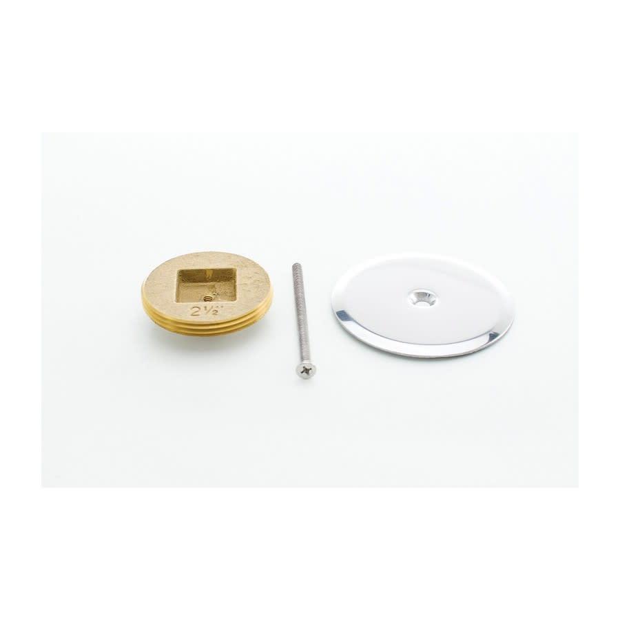 Cleanout Plug With Cover, 2-1/2 in Outlet, MNPT, 4 in Cover, Round, Stainless Steel - ylw0czb74xbja54l0h28@2x.jpg