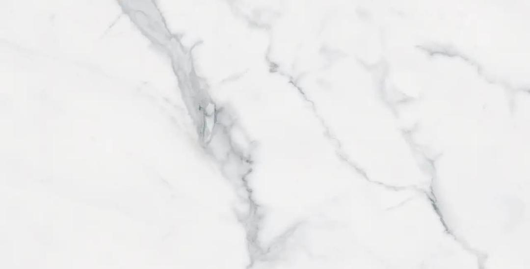 BIANCO VENATINO PO 12X24 R - ym2ltdbjk0wq1aspmuzp@2x.jpg