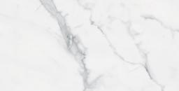 BIANCO VENATINO PO 12X24 R - ym2ltdbjk0wq1aspmuzp@2x.jpg