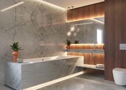 Denali Quartzite - yn9xehrxexg3i57lpnuu@2x.jpg