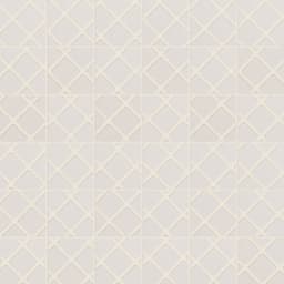 VECTORA WHITE GL MO 2X2/12X12 - ypmnwiqudrhextbszmm1@2x.jpg