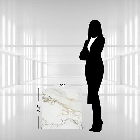 Platinum Magnolia Rectangle 12X24 Matte - ypqkyo2waina1xagjuge@2x.jpg