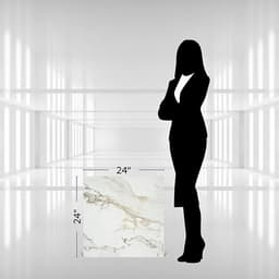 Platinum Magnolia Rectangle 12X24 Matte - ypqkyo2waina1xagjuge@2x.jpg