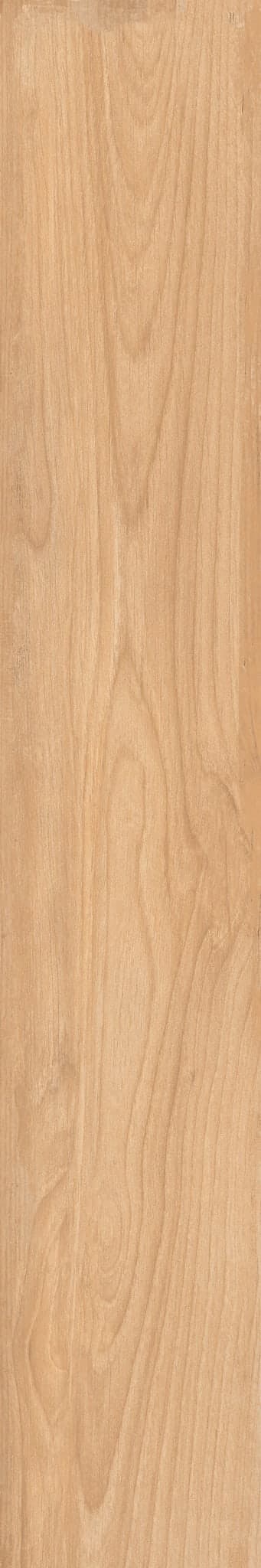SAVAGE CARAMEL 8X48