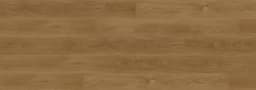 Rainforest Brown - yuvqumpx4cyibw9xlczj@2x.jpg
