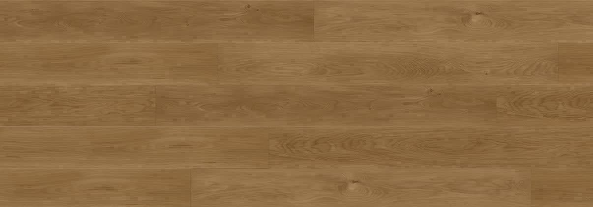 Rainforest Brown