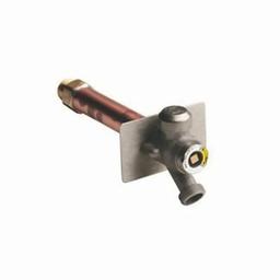 Wall Hydrant, 1/2 or 3/4 in Inlet, FNPT or MNPT, Nickel Plated - yvzqfabm5hkydna4eg88@2x.jpg