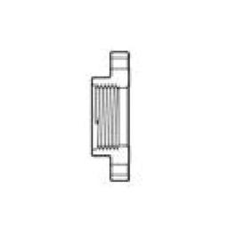 2-Piece Flange, 1 in, FNPT, PVC, SCH 80/XH - ywnzk4z4jd6ohbf92bxw@2x.jpg