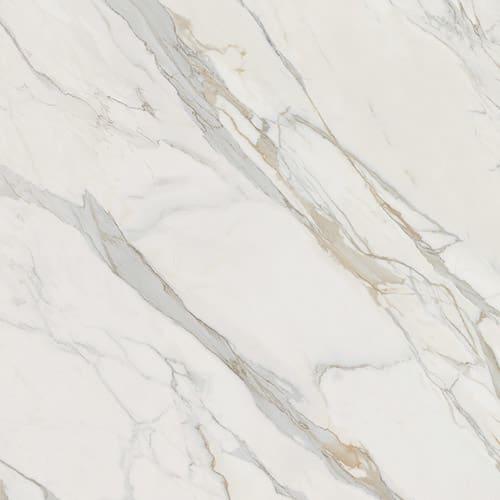 Calacatta Gold - ywow9wboekql550oxar8@2x.jpg
