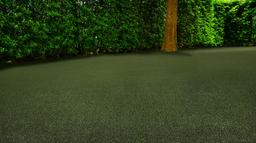 MEADOW GREEN PET-TURF 91 - yx1wgsbs4lvgdu9yigw3@2x.jpg