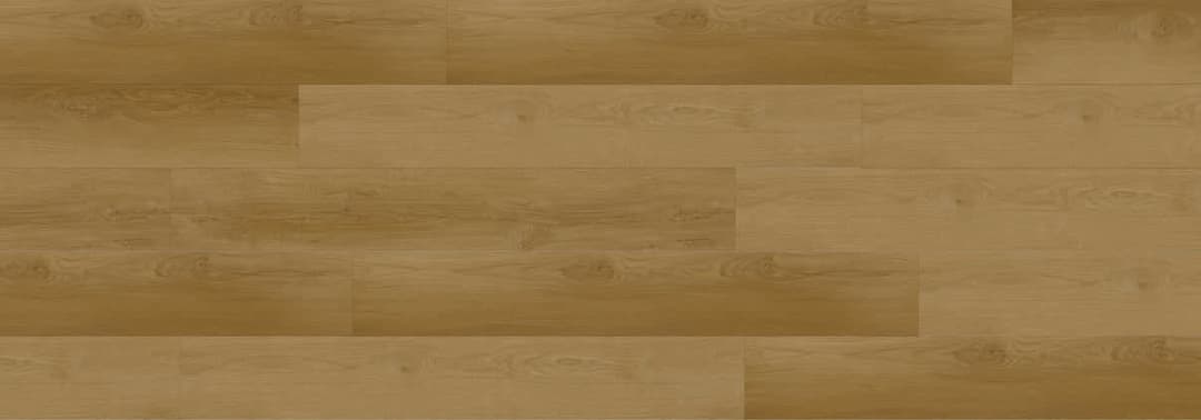 Ellen - yx9fpvytg3fqnsfusz8g@2x.jpg
