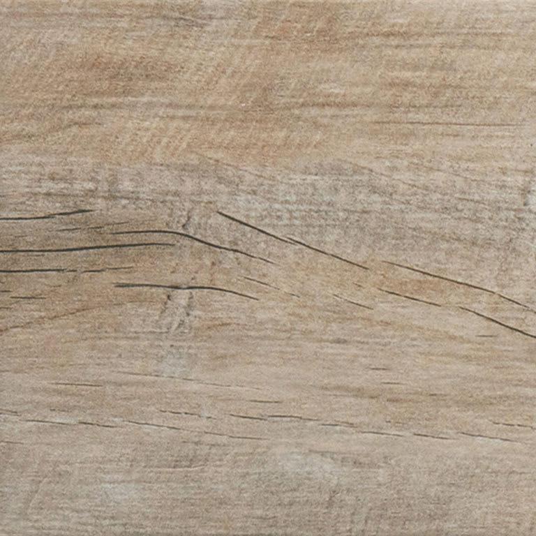 Timber Tortora