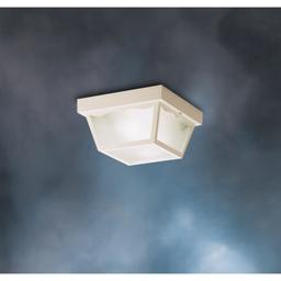 2 Light Outdoor Ceiling Fixture - z1y0tqz00myfm4abt4ha@2x.jpg