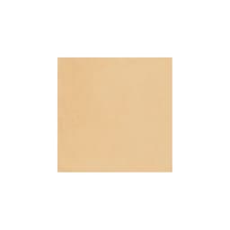 PIGMENTS HONEY (Make to order) - z3sxraqyrirfldder9ym@2x.jpg