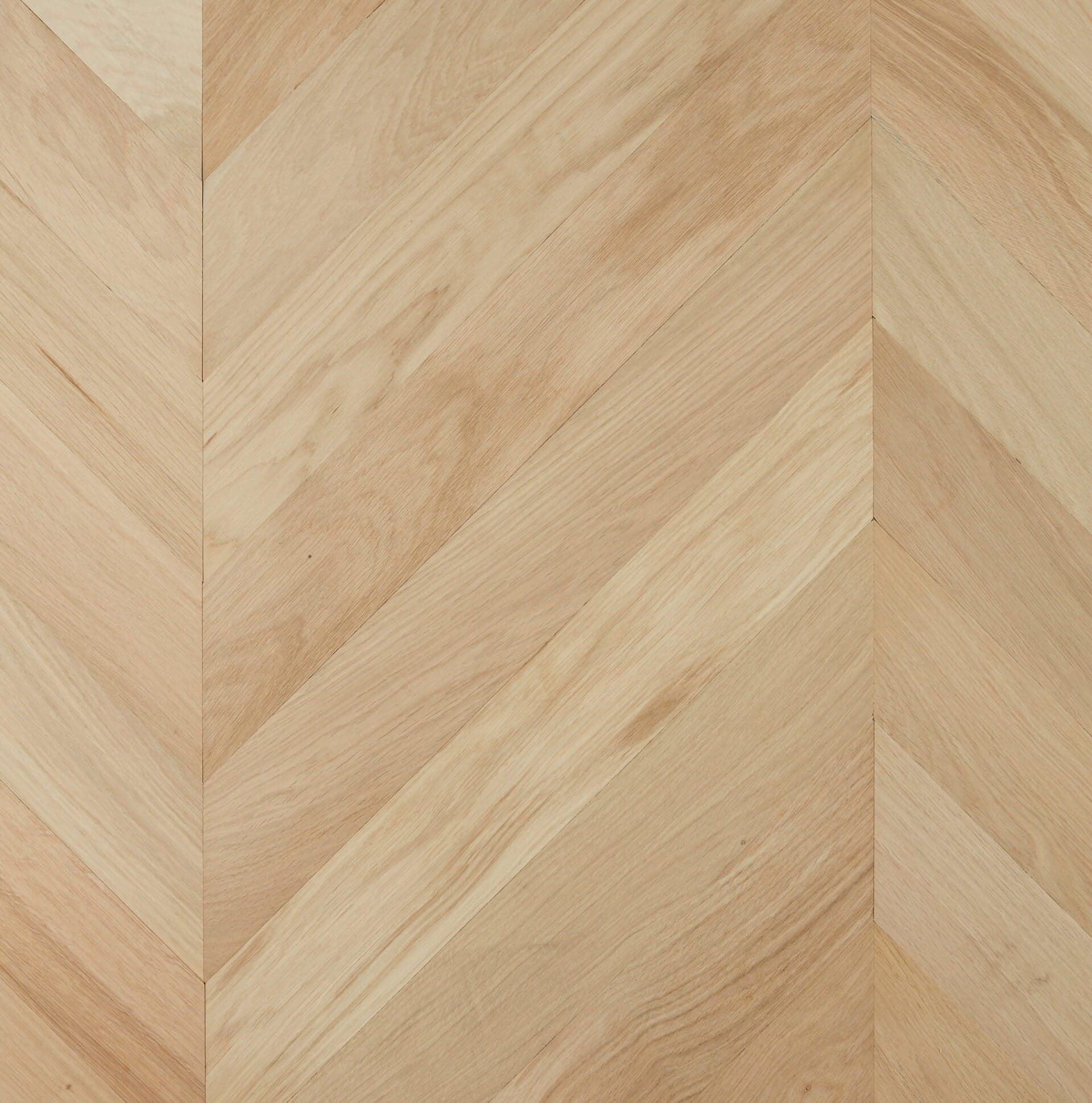 CHEVRON PALERMO