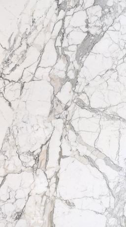 Calacatta Gold Eccellente - z60a3d5wjwyfmsvspolm@2x.jpg