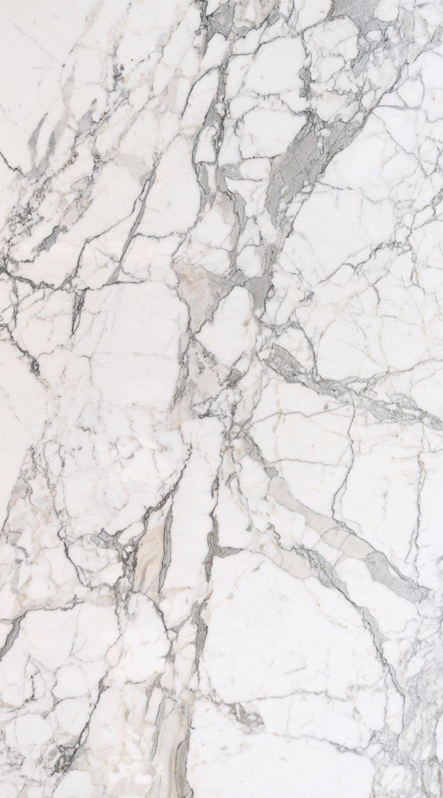 Calacatta Gold Eccellente - z60a3d5wjwyfmsvspolm@2x.jpg