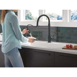 Trinsic 1.8 GPM Single Hole Pre-Rinse Pull Down Kitchen Faucet - z6ohb8efnckd09ecv0rq@2x.jpg