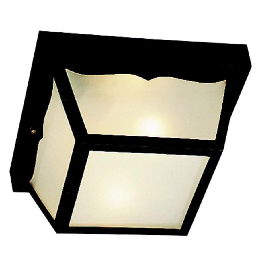 2 Light Outdoor Ceiling Fixture - z8bizmyqjtok0whndbfd@2x.jpg