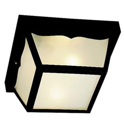 2 Light Outdoor Ceiling Fixture - z8bizmyqjtok0whndbfd@2x.jpg