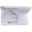 Drake Elongated Toilet Bowl Only with CeFiONtect - Less Seat - z8nx5mhupgz9tybdfook@2x.jpg