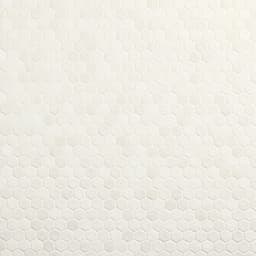 Studio Haven Plume Hexagon 1.5X1.5 Matte - z8ydgemx9tcc8qshtvdg@2x.jpg