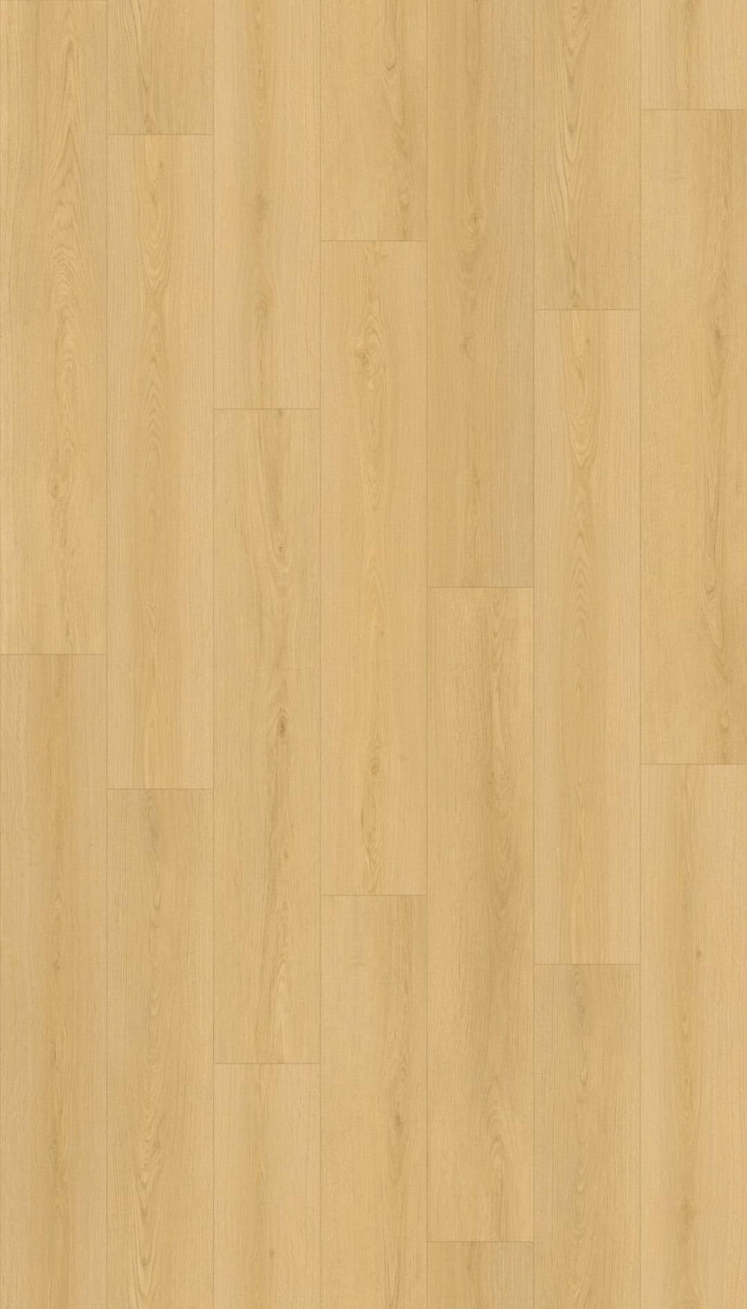 Tahoe - z9fbgmegxwjsjdkmn0d9@2x.jpg