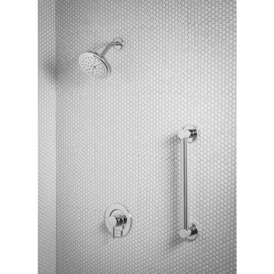 Align 36" Grab Bar - zcdunmwt98derhjrevps@2x.jpg