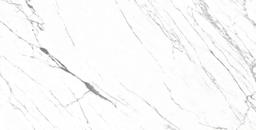 VENATO 24X48 R PO - zcfmbjmtppcqxf2ll51y@2x.jpg