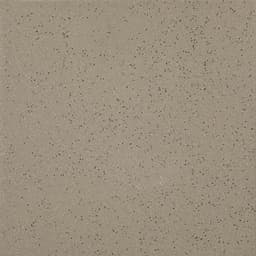 Quarry Textures Ashen Gray Square 8X8 Abrasive - zctt9rsaxdciime7lrdx@2x.jpg