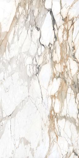 Calacatta Topaz - zdjjegmj7jlwzghblgmz@2x.jpg