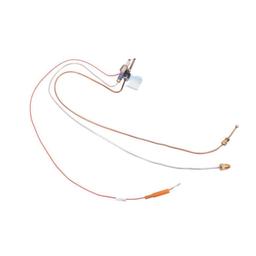 Pilot Assembly, For Use With Models 80, 100 BT Natural Gas - zfdqpze29y4xsg4nema5@2x.jpg