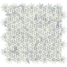 WINTER FROST DAISY MO/1213 - zfes8kvfolp4ldz45g6z@2x.jpg